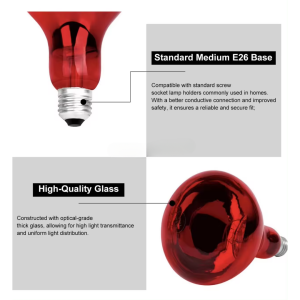 Infrared-Light-Bulb