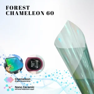 Forest Chameleon 60